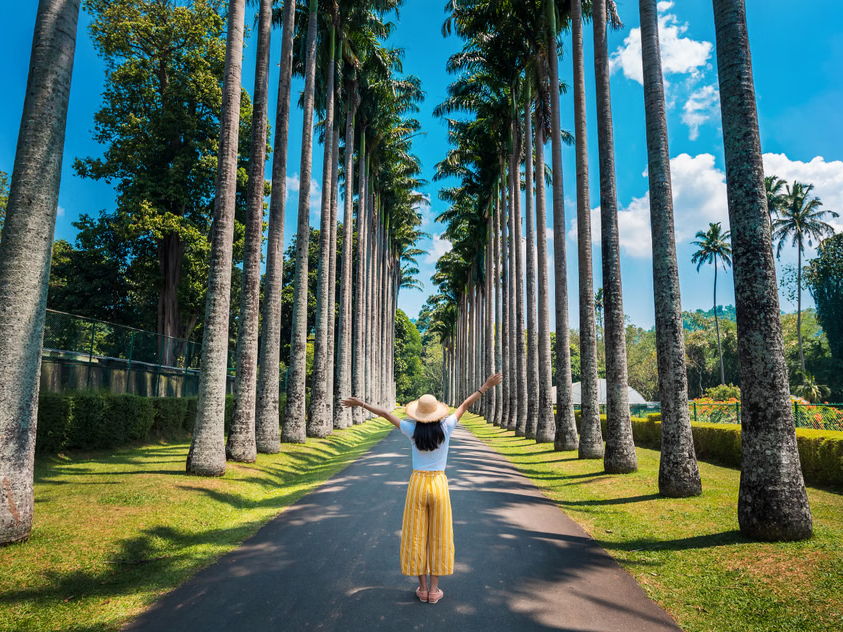 Scenic Sri Lanka - 01